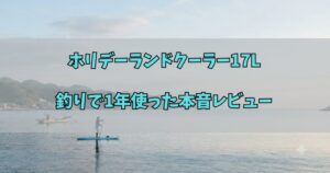 ホリデーランドクーラー17Lレビューのアイキャッチ画像