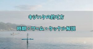 キジハタの釣り方|時期・ワーム・タックル解説