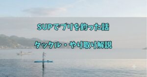 SUPでブリを釣った話 タックル・やり取り解説