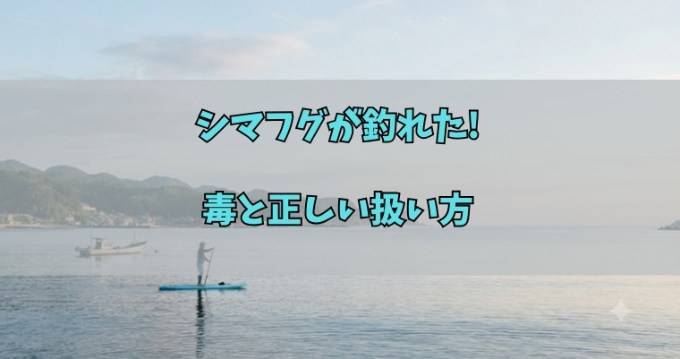 シマフグが釣れた!毒と正しい扱い方